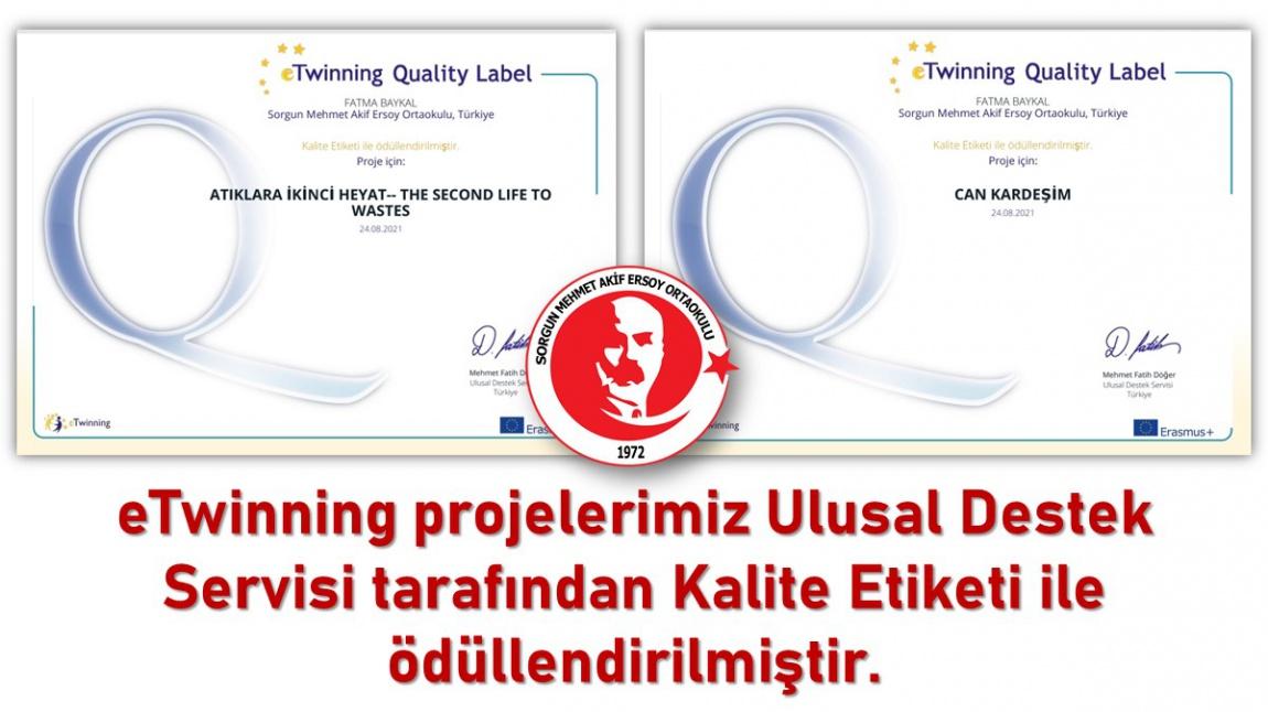 eTwinning projelerimiz Ulusal Destek Servisi tarafından Kalite Etiketi ile ödüllendirilmiştir